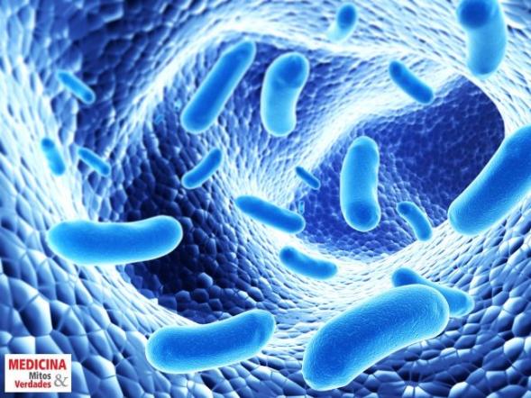 LAUDO VIGILÂNCIA SANITÁRIA AR CONDICIONADO