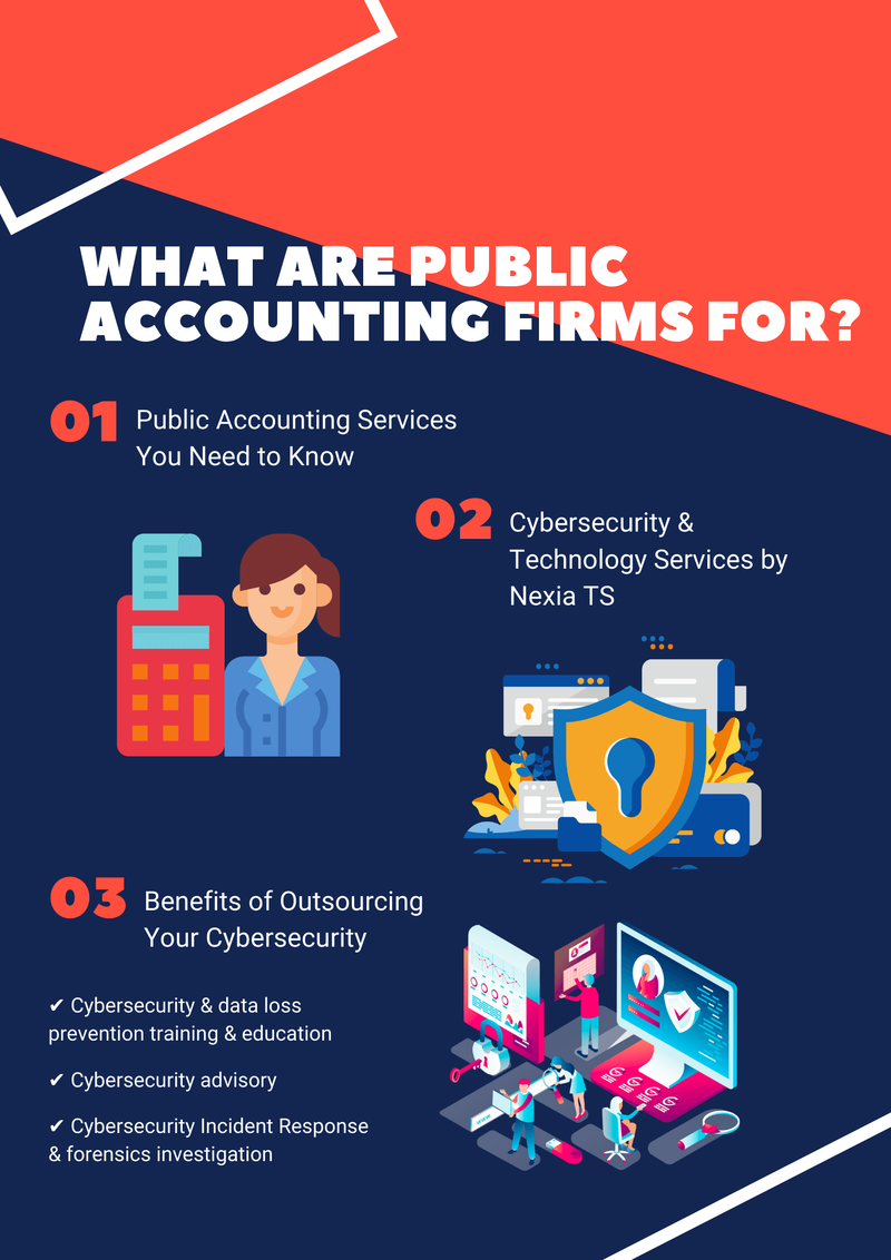 What are Public Accounting Firms For?