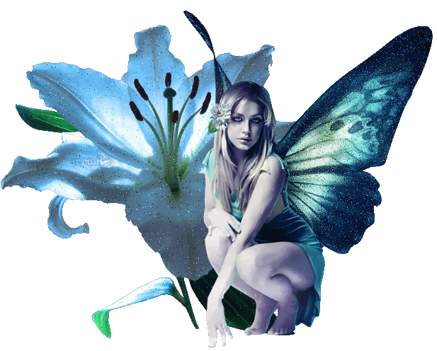 Qué es la Luna vacía de curso