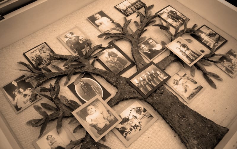 Astrologia y arbol genealogico