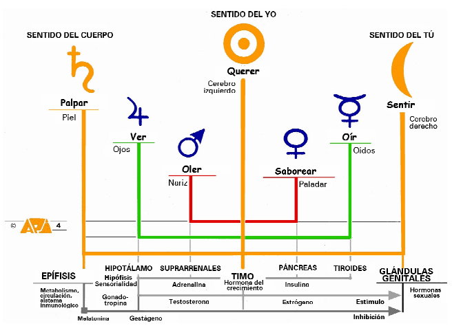 Astrología Médica: 11 fechas a tomar en cuenta para una cirugía