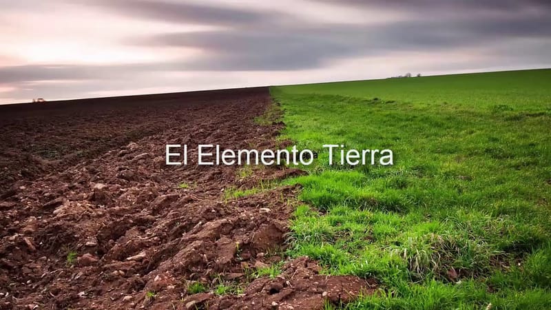 El elemento tierra: Tauro, Virgo y Capricornio