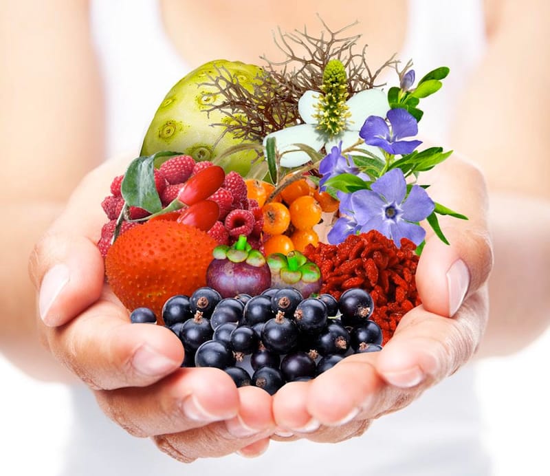 Hechos a imagen y semejanza de la tierra