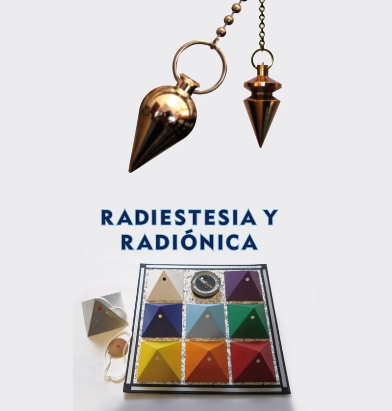 8 principios para mantener un cerebro en perfecto estado