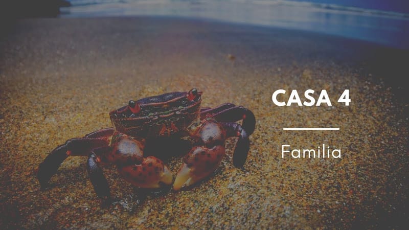 Lo profundo de la Casa 4