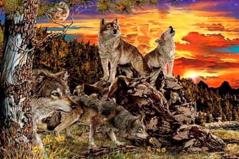 Amuleto Totem Lobo; animal de poder