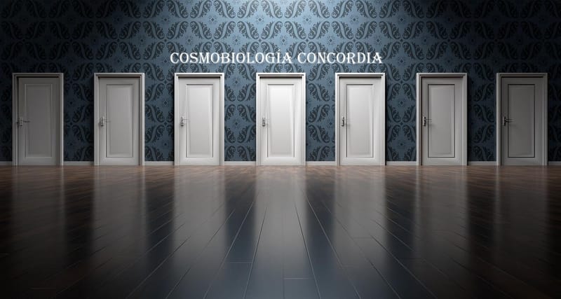 2024 Año del Portal