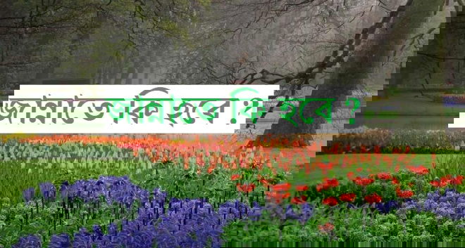 জান্নাতে কি হবে?