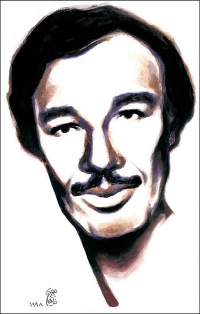 قصيدة الطيور / شعر أمل دنقل