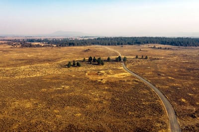 Outlaw Country: Taylor's Letter