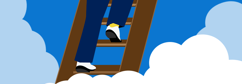 Ladders News