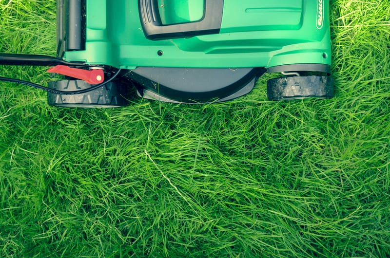 RESIDENTAL HOUSEKEEPING/ LAWNSERVICE.