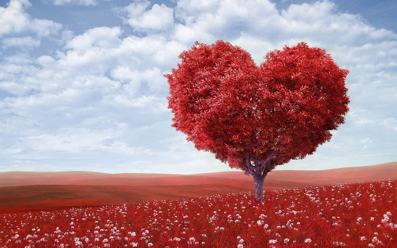 Emotion et Confiance en Soi