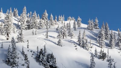 Notes 3-1 image