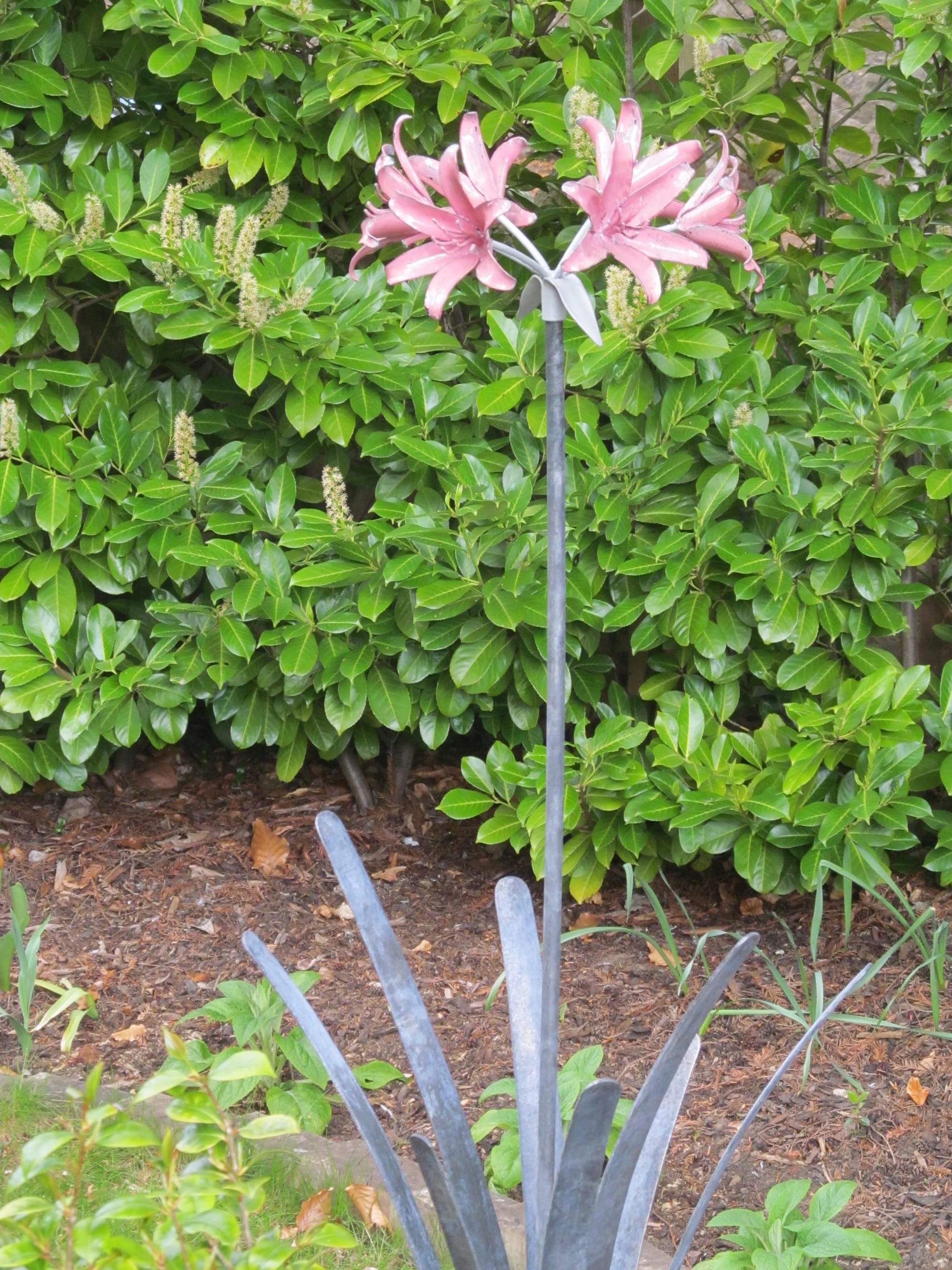 Enamelled Nerine