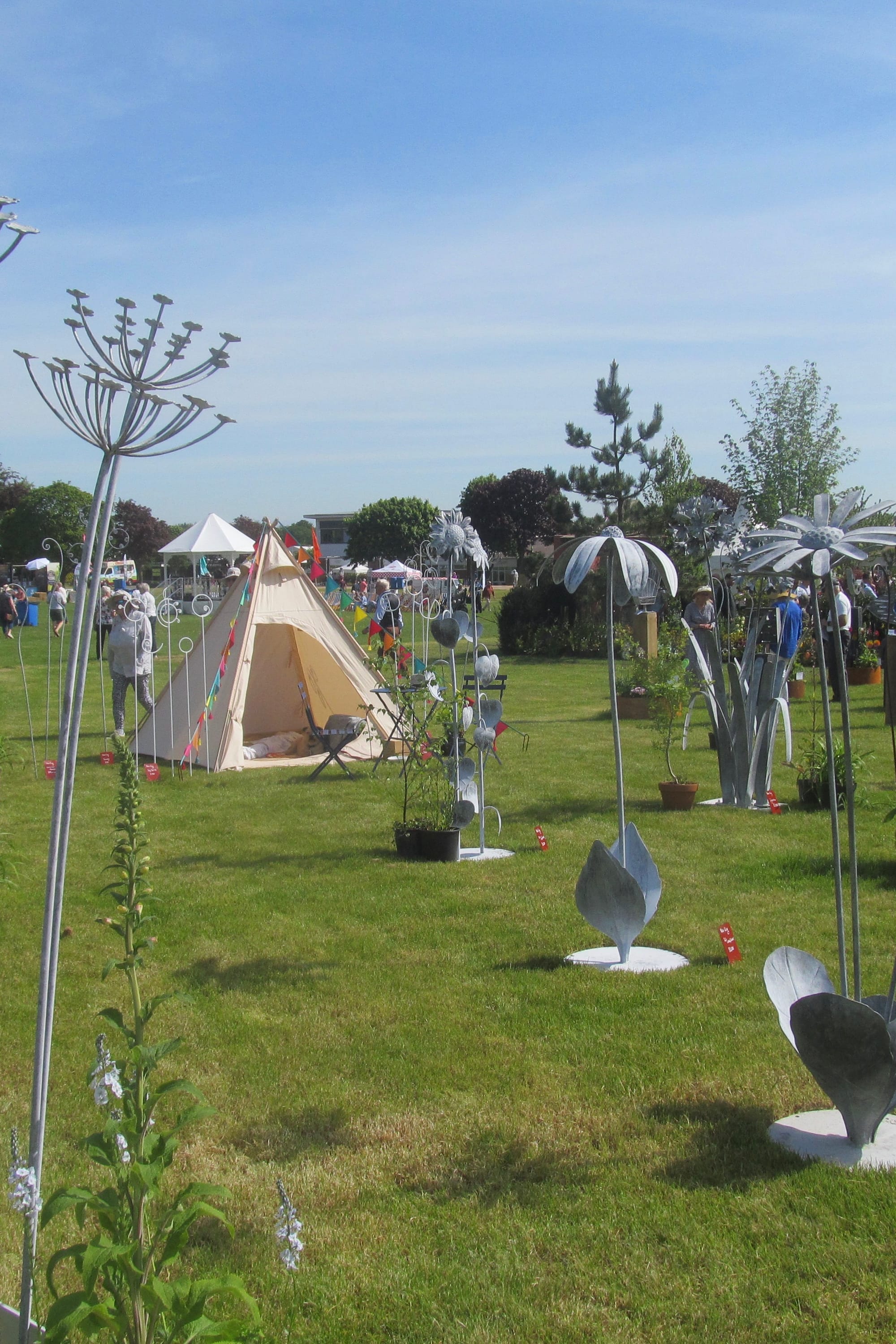 Coneflower (right of centre)