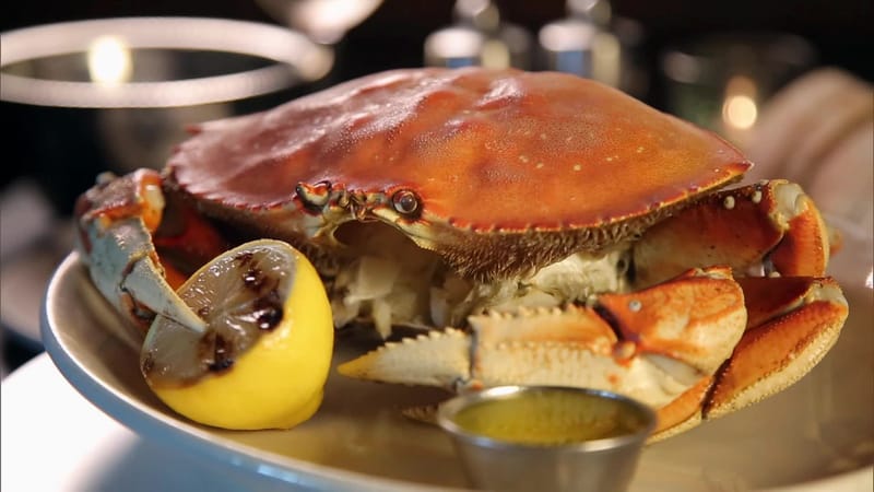 Dungeness Crab