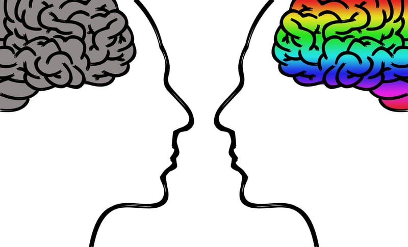 Your Brain is AMAZING!