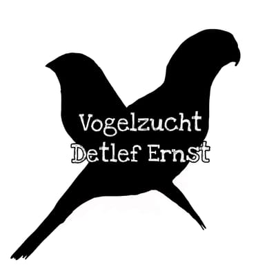 Vogelzucht Detlef Ernst