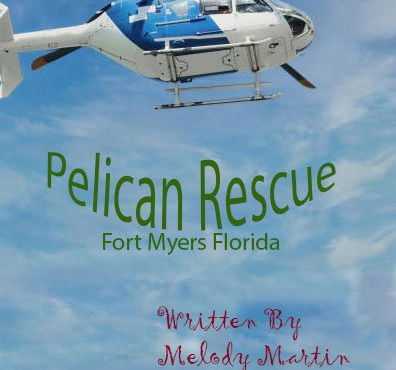 Pelican Rescue image