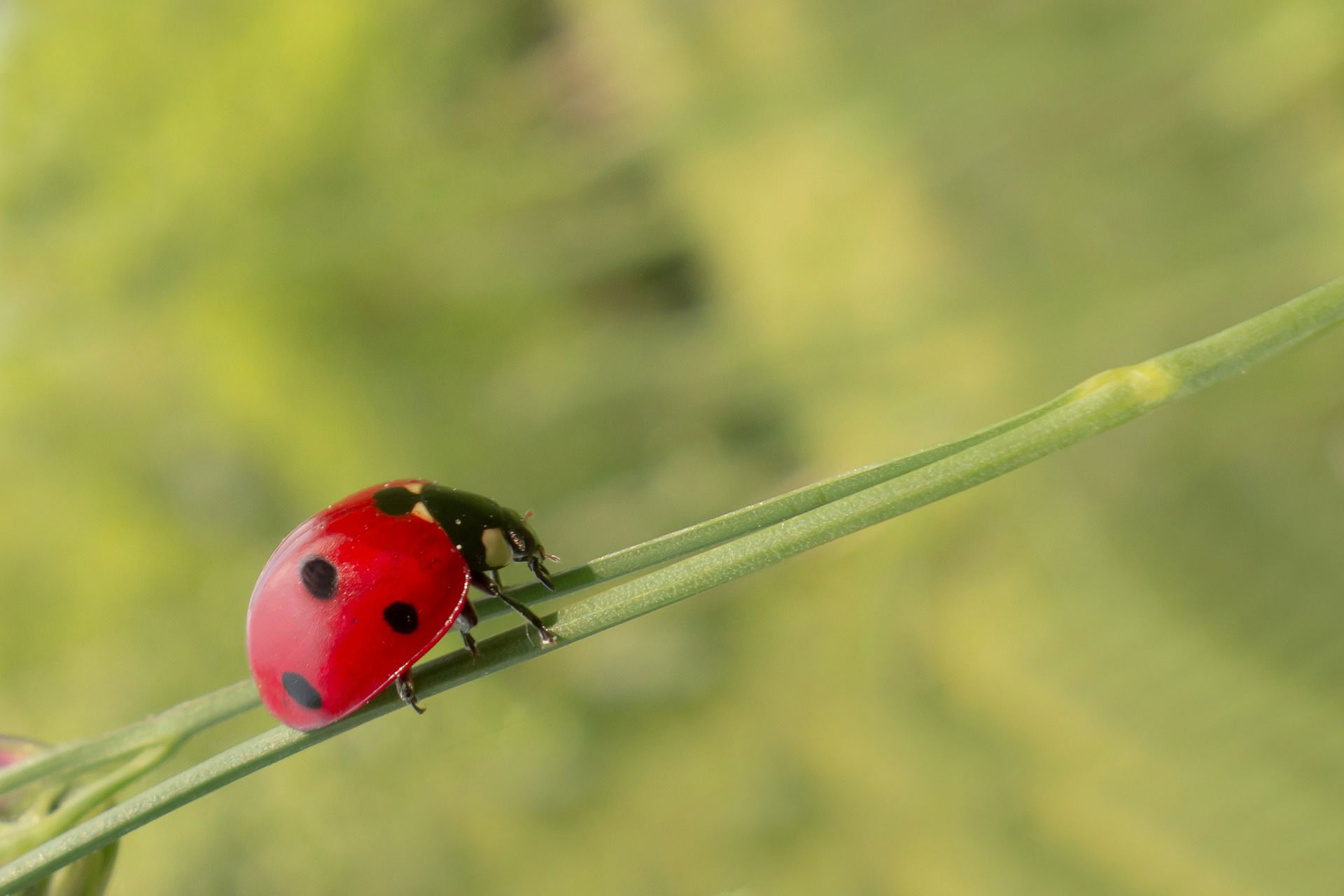 Quando un fotografo smette di essere principiante