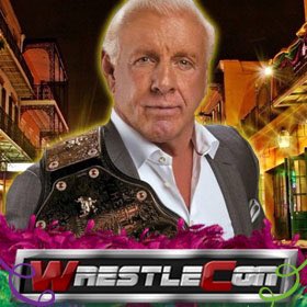 Buying Wrestling Products