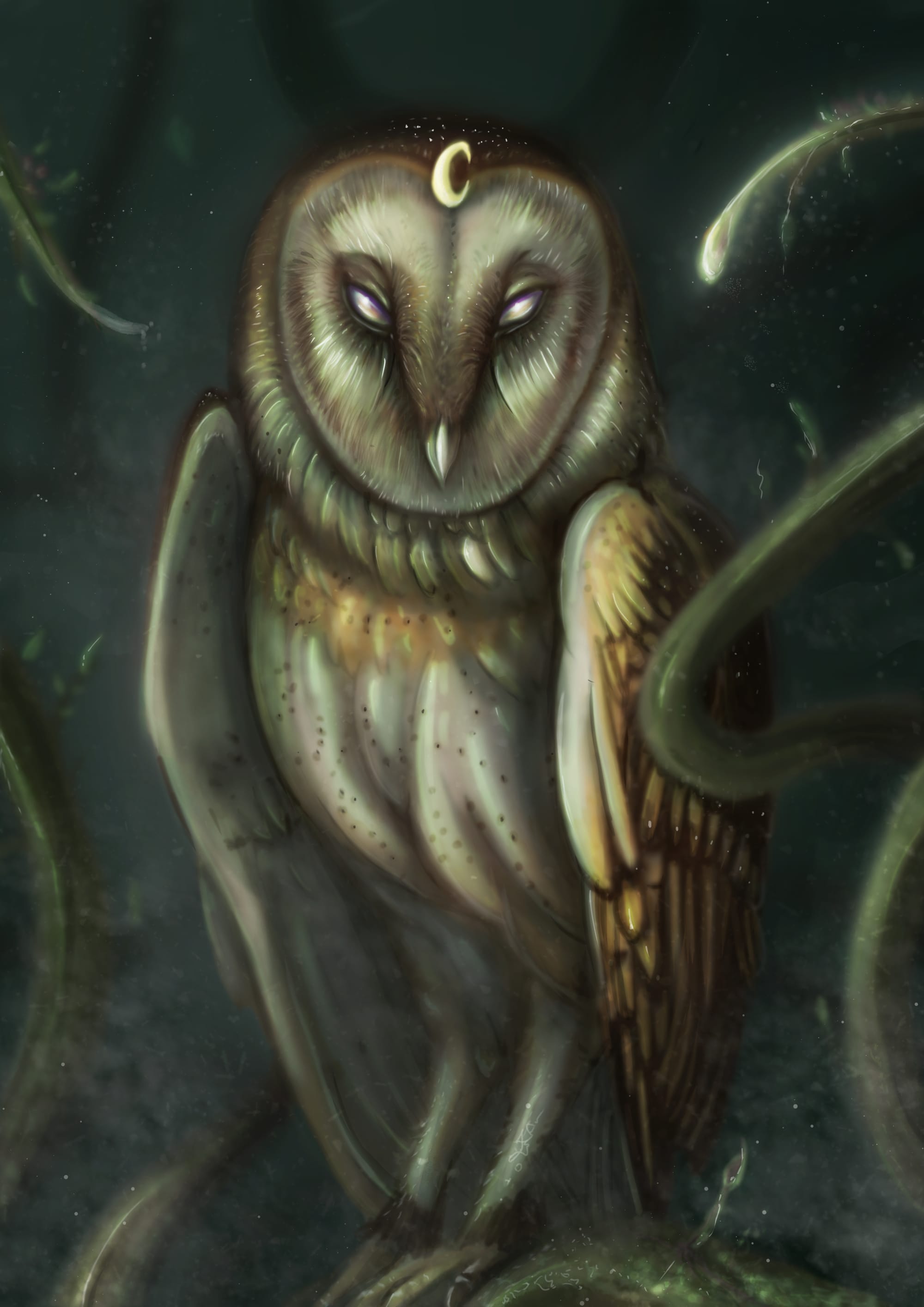 Owl