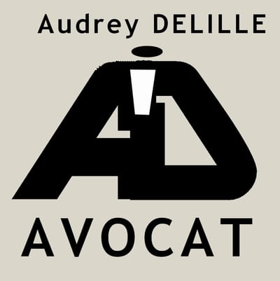 Me DELILLE  Avocat à VILLENEUVE D'ASCQ