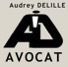 PRESENTATION DU CABINET D'AVOCAT  image