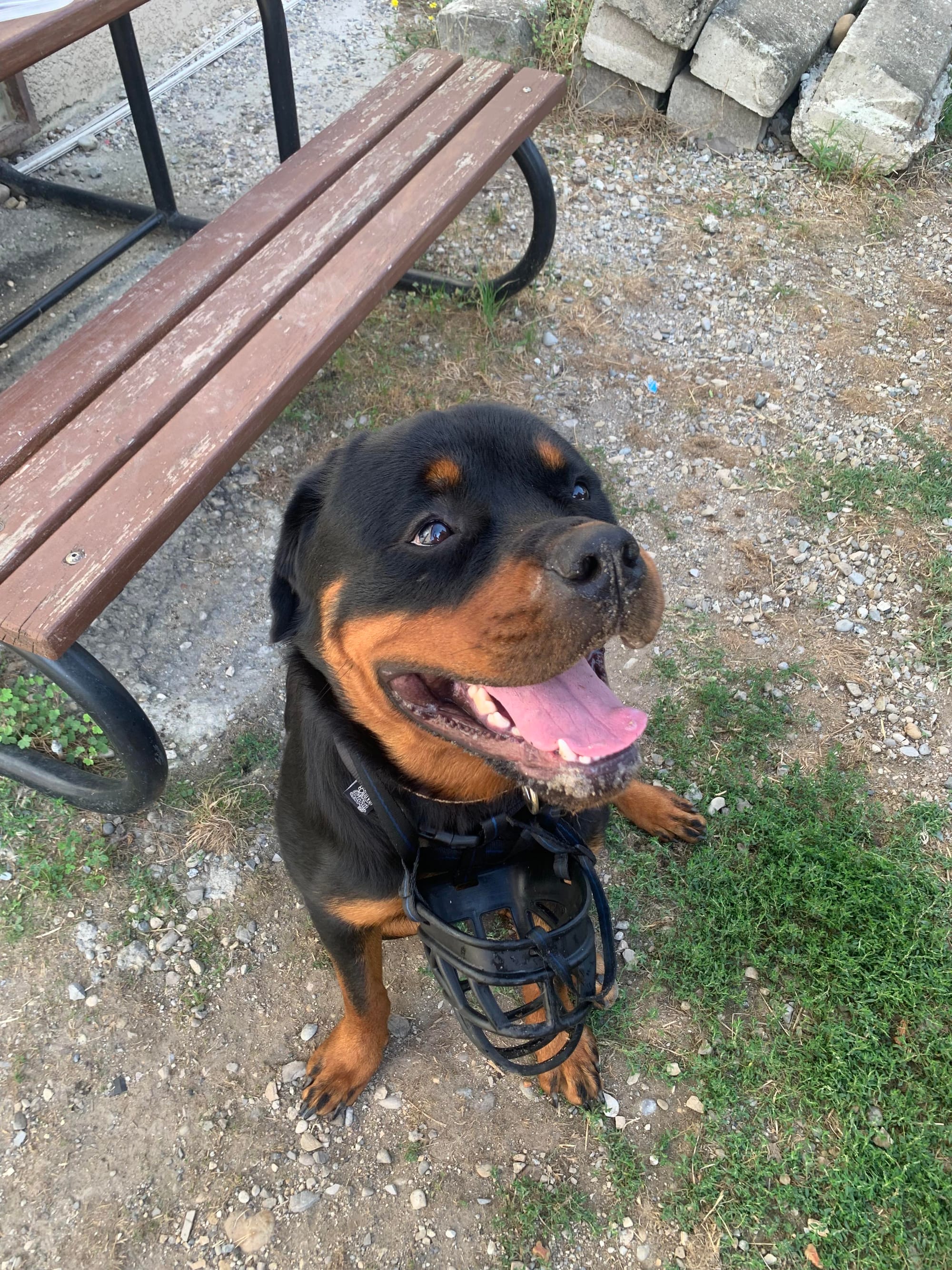 Tango