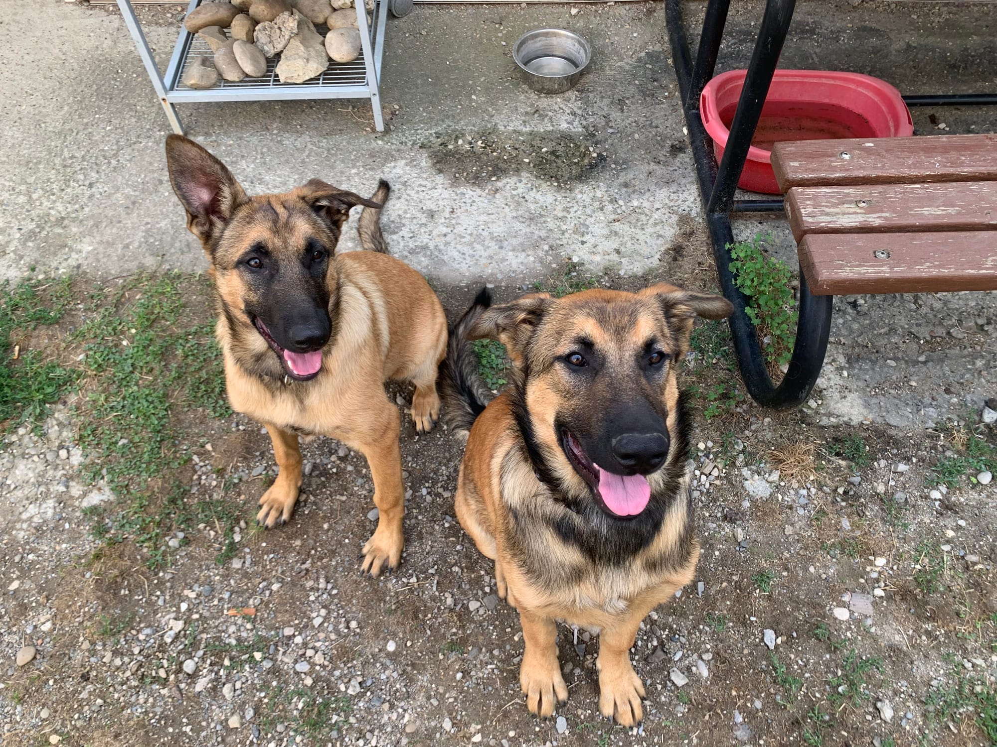 Tina et Paco