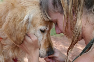 Educateur canin image