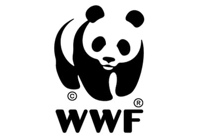 International Environmental Organisation