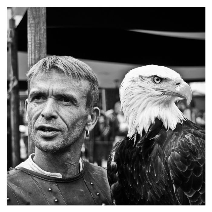 Regards d'aigles, Crépy-en-Valois, France