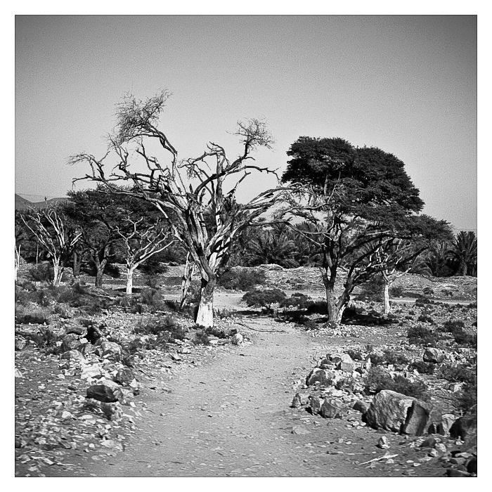 Chemin faisant, La vallée du Draâ, Maroc