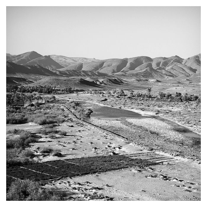 Cultures, La vallée du Draâ, Maroc