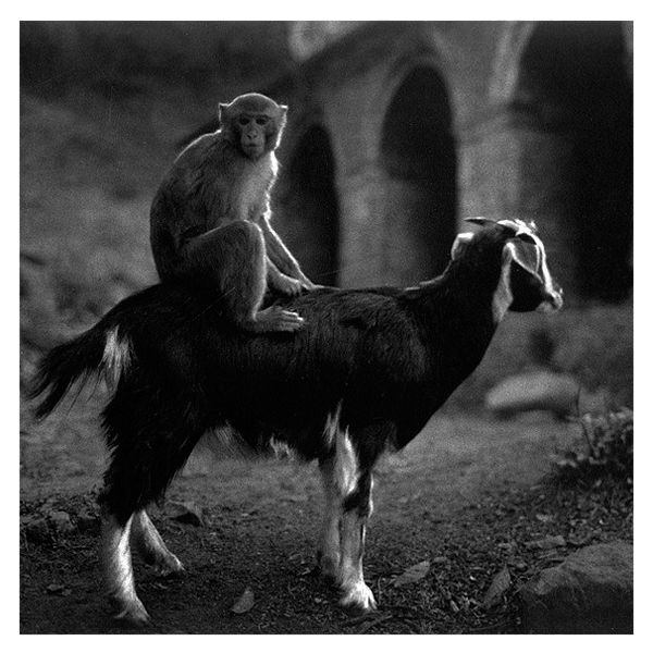 Pentti Sammallahti