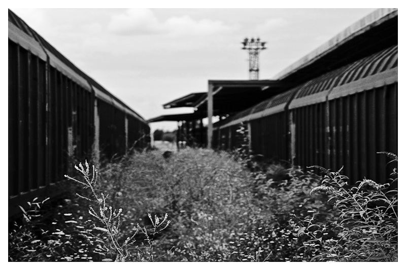 L'avenir est un long passé, Frontstalag 122, Compiègne, France