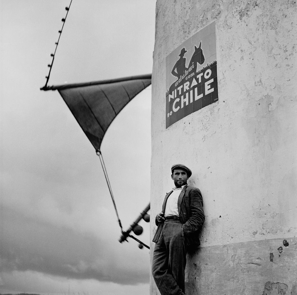 Bill Perlmutter - Nitrato do chile, Portugal 1956