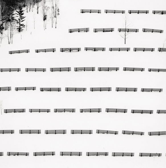 Michael Kenna - Fifty Fences, Taisetsu, Hokkaido, Japan, 2004