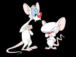 Pinky y Cerebro