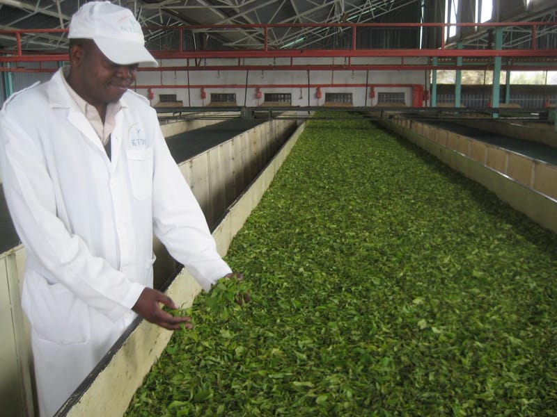 Farmers Want KTDA To Drop Petition Seeking To Block New Regulations