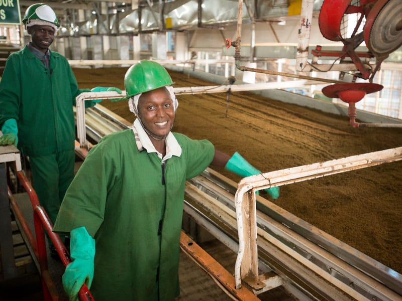 The 42 taxes spoiling taste for tea farmers