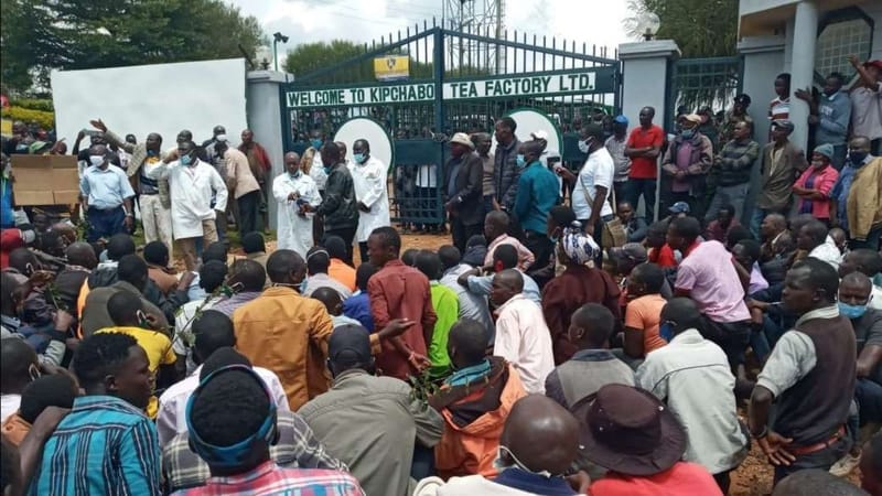 Tea farmers storm factory, loot property over reduced prices