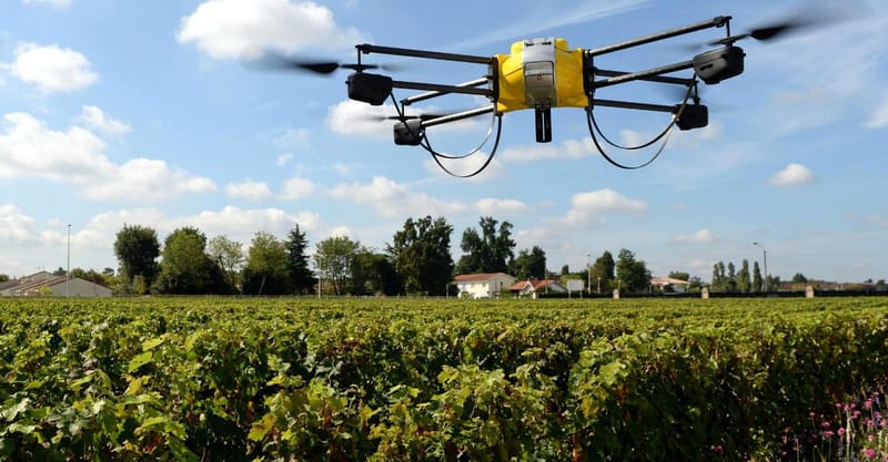 Export, local crops hit as unusual weather persists in Kenya