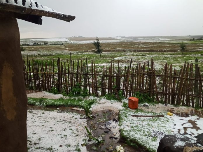 Experts: Chilly weather a transition from cold to warm season