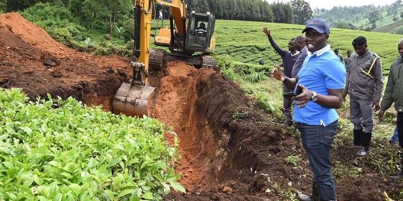 Multinational tea firms lease dispute heads to Parliament