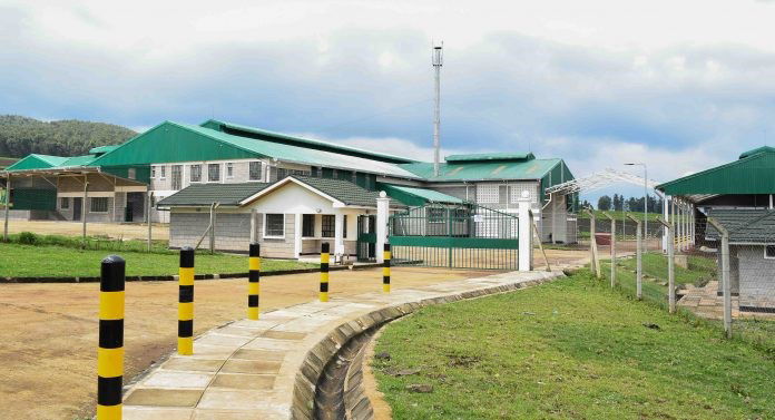 KTDA’s Kshs 330M Japanese market factory delayed by a year