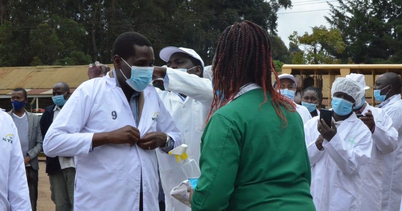 Nyeri Tea Farmers Resolve To Boycott Election Of Directors