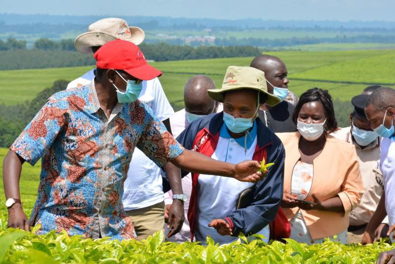 Bomet kicks off tea tourism adventures
